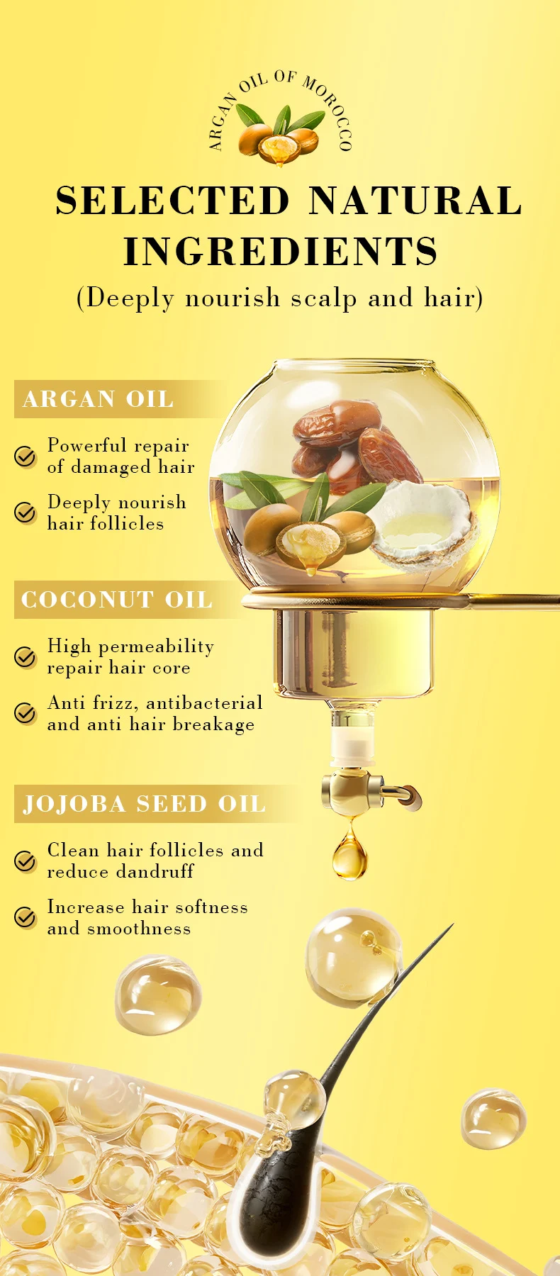 MOIKA Moroccan Argan Oil Hair Treatment Oil 100ml - Repair & Smooth 5 moroccan argan hair oil spu944853844161 desc 5