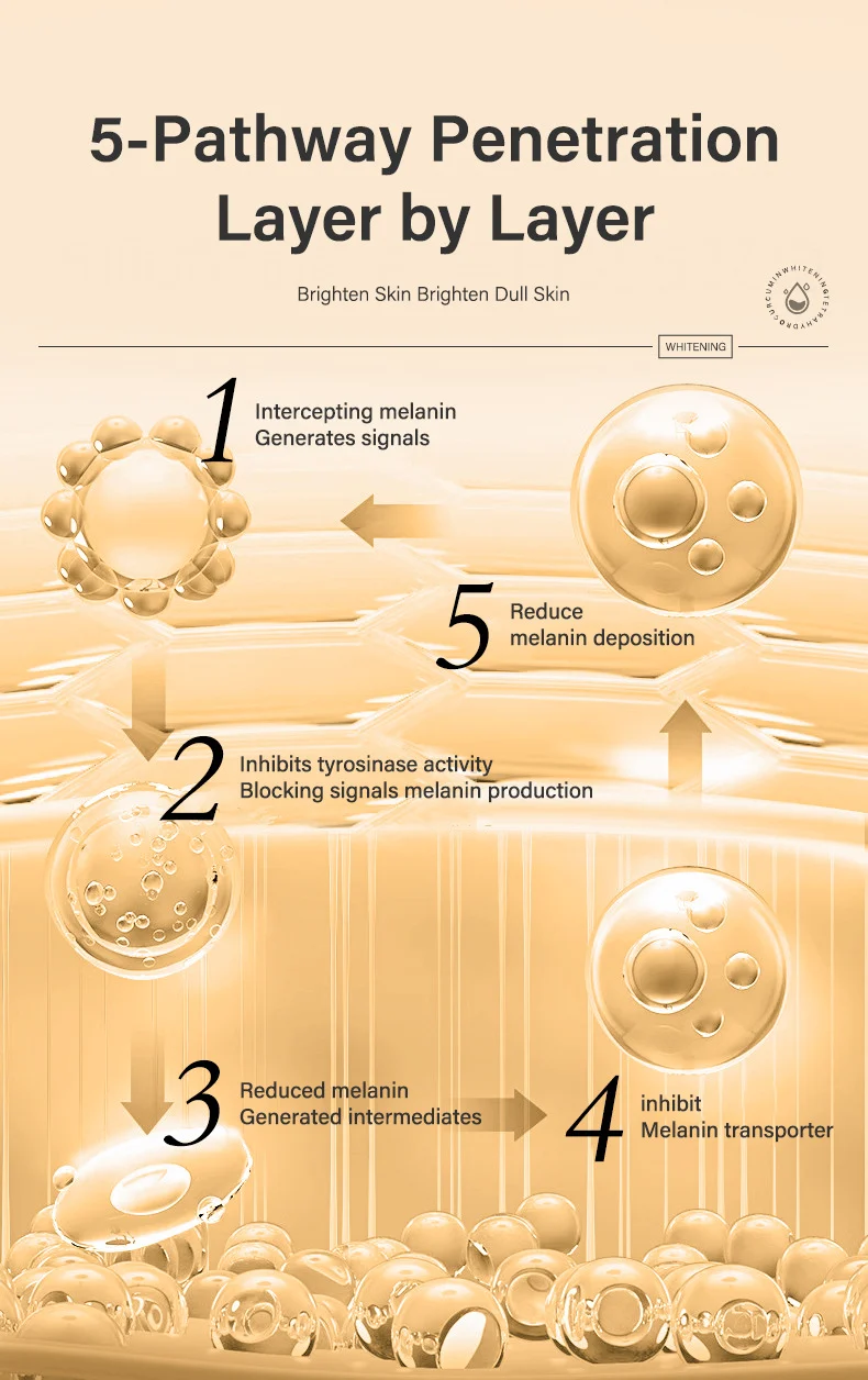 MOIKA Tetrahydrocurcumin Whitening Cream Brighten Skin Moisturize 50ml 4 tetrahydrocurcumin whitening face cream spu733386467660 desc 4